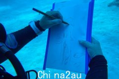 大堡礁海底绘画班开课（视频/照片）