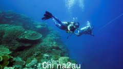 联合国提议将大堡礁列入濒危世界遗产名录，但澳大利亚政府反对（图）