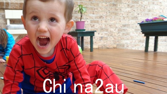 三岁的 William Tyrrell 穿着蜘蛛侠服装失踪了。图片：提供