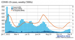 澳公布过去一年病例数据 又一波来袭（图）