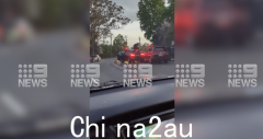 悉尼街头发生警车追逐，4车连撞！民警开枪制服通缉犯（图）