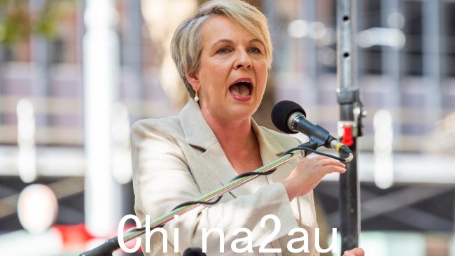 环境 Tanya Plibersek 警告澳大利亚人电子烟对环境造成的危害。图片：澳大利亚人 / Monique Harmer