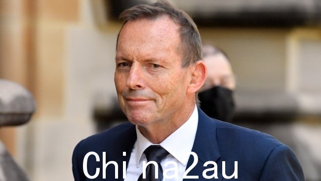 Tony Abbott 抨击大型科技公司倾斜 p在即将举行的议会全民投票之前铺平道路。图片：NCA