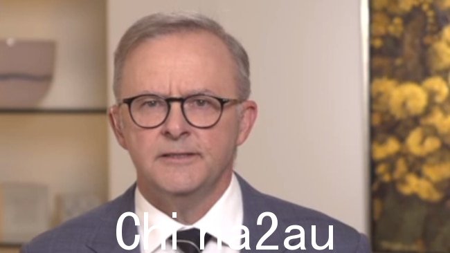 总理 Anthony Albanese 对议会之声的法律影响的看法是错误的，IPA 的 Daniel Wild 认为。图片：Sky News Australia