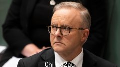 总理安东尼·艾博年 (Anthony Albanese) 在对拟议机构的强烈支持下，对土著之声发出了绝望的最后请求