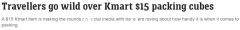 Kmart 只卖 15 美元的小东西！部分店铺被清空，网友直呼太好用（合影）