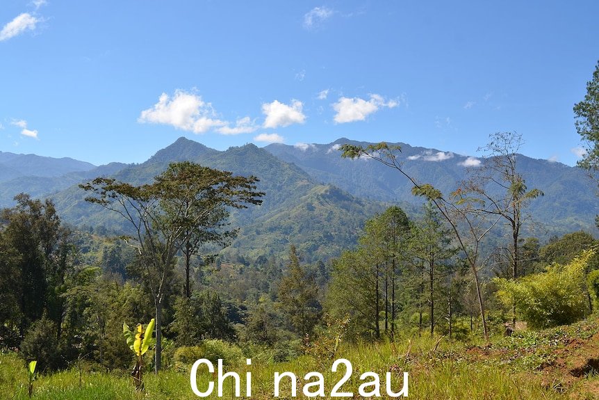 新几内亚高地的风景。