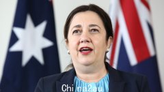 昆士兰州反对党领袖大卫·克里萨富利 (David Crisafulli) 猛烈抨击 Palaszczuk 政府的优先事项，即当人们“希望采取行动”打击青少年犯罪时，“让毒品在社会上