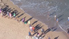 附近发现鲨鱼，游泳者和冲浪者疯狂撤离悉尼北部海滩的曼利海滩
