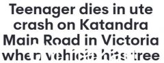 1死2伤！维多利亚州的道路上发生了另一起致命事故。汽车失控撞到一棵树上。 19岁男子当场死亡（图）