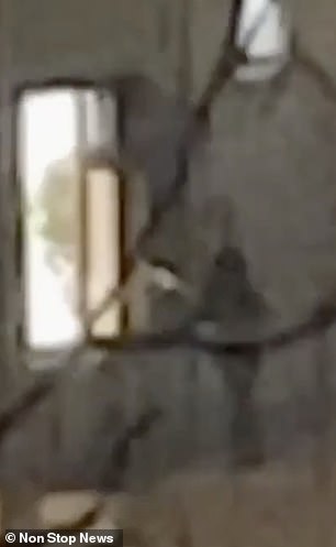枪手通过教堂的窗户发射子弹的镜头（如图）已经出现