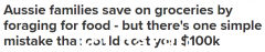 澳洲掀起“觅食潮”！宝妈采摘“野果蔬”一周省150美元 称其“上瘾”（图）