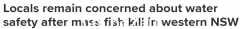 新南威尔士州河流中有数百万条死鱼！当地居民担心水质安全 当局回应：没问题（图）