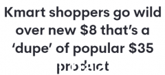 Kmart只要8刀的小物件在抖音上很受欢迎！澳洲女人赞不绝口，堪称35元的替代品（组图）