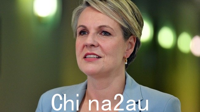 环境部长 Tanya Plibersek 将概述她的政府对 2021 年环境状况报告中该死的调查结果的回应。图片：Getty Images