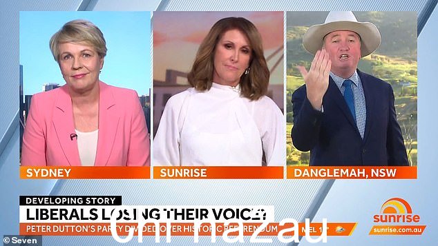  Tanya Plibersek（左）和 Barnaby Joyce（右）在关于向议会提议的土著声音的激烈讨论中发生冲突