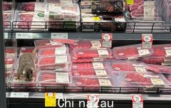 墨尔本Coles肉类区发现一只大负鼠，顾客吓得尖叫（图）