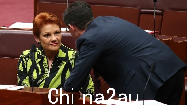 参议员 Pauline Hanson 在堪培拉议会大厦的参议院与教育部长 Simon Birmingham 交谈。图片 Kym Smith