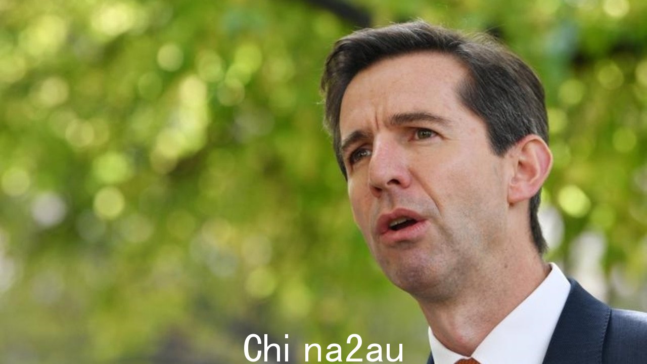 Simon Birmingham 在 Voice 立场上陷入了'一团糟'