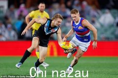 肯·欣克利 (Ken Hinkley) 在阿德莱德港 (Port Adelaide) 明星杰森·霍恩·弗朗西斯 (Jason Horne-Francis) 对西部斗牛犬队 (Western Bulldogs) 的比赛中遭到嘘声后大放异彩