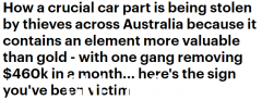 车主们注意了！澳洲盗贼专盗汽车关键零件，价值堪比黄金！ 4分钟搞定（视频/照片）