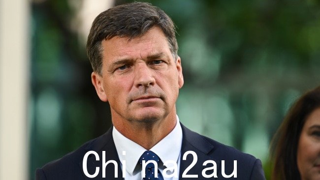 Angus Taylor 说澳大利亚的通货膨胀率是“本土的”，不受外在因素。图片：Getty