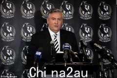 埃迪·麦奎尔 (Eddie McGuire) 透露了他让两支 AFL 球队停止在墨尔本打比赛的激进计划