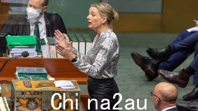 Sussan Ley 质疑为什么核心通胀率在工党领导下上升。图片：NCA NewsWire / Gary Ramage