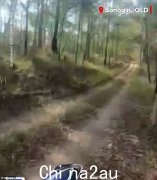 昆士兰州博农金：14 岁的青少年摩托车骑手如何在偏远丛林的恐怖车祸中幸存下来