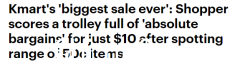 Kmart的“清仓季”要来了吗？ Opal Mom只花$10买了一辆车，每件只需$0.5！仙沙网友（视频/照片）