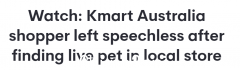 在 Kmart 的货架上发现了活体动物，视频在网上疯传。网友：太可怜了（图）