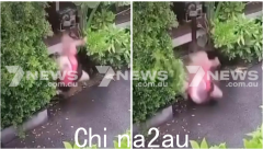 泰国酒店坠楼 澳洲女子重伤！而因为这个条款，保险公司一分钱都不赔（合影）
