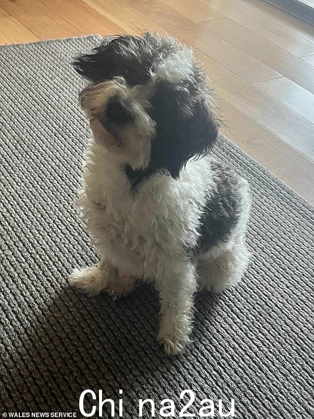 Nellie 吃了神秘的黑色物质后病重并陷入昏迷