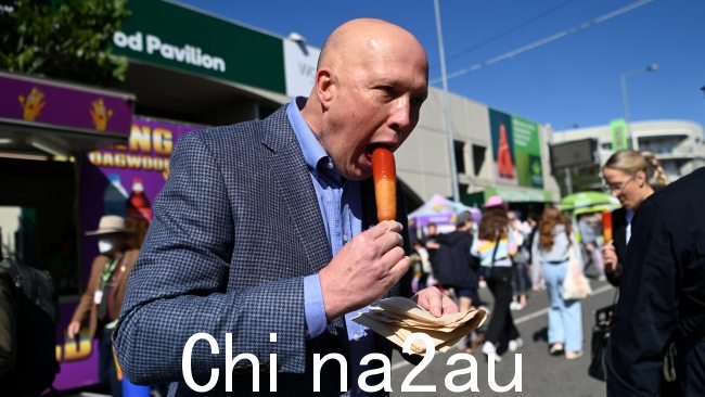 反对党领袖彼得·达顿 (Peter Dutton) 咀嚼山茱萸的照片去年 Ekka 上的狗走红了。图片：NCA NewsWire / Dan Peled