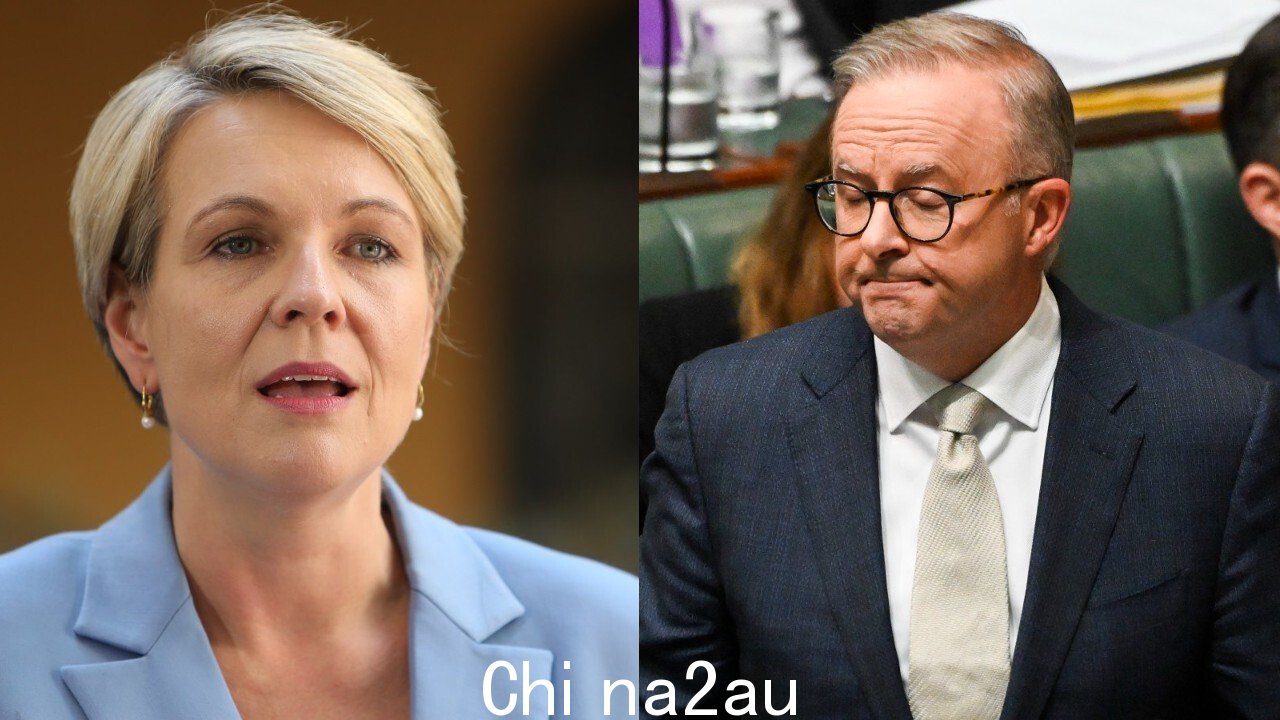 Plibersek '被迫防守” 阿尔巴内塞未能确定汽油价格” fetchpriority=