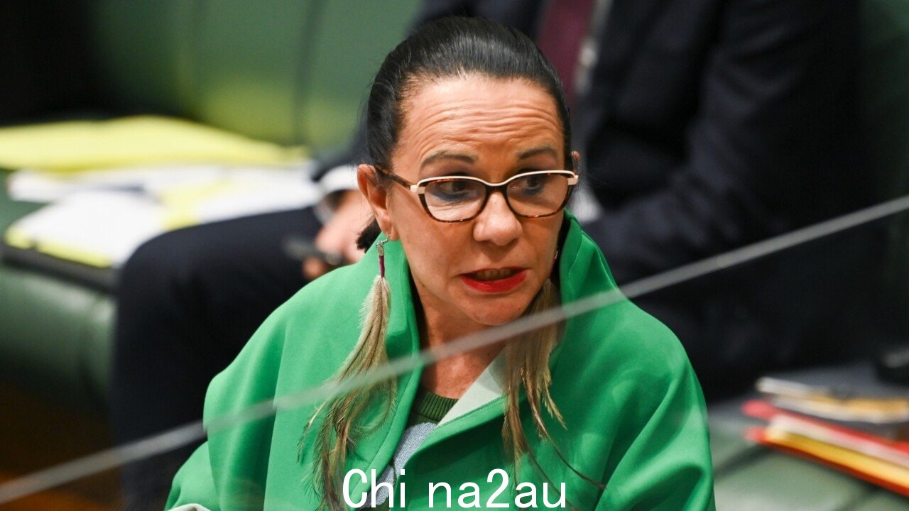 语音建议并且不会交付计划或拥有否决权：Linda Burney