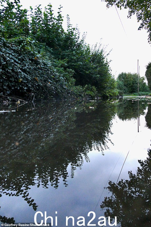 Mandatory Credit:摄影：Geoffrey Swaine/Shutterstock (14156706d) 在乡村的一个黑暗的早晨，经过一夜的雨后，乡村小路被洪水淹没。季节性天气，英国牛津郡邓斯登 - 2023 年 10 月 19 日