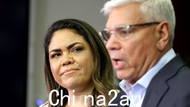 Jacinta Price 和 Warren Mundine 在议会之声公投中领导了反对派。图片：Steve Pohlner