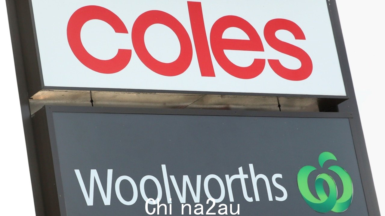 '需要解决'：Pauline Hanson 呼吁对 Coles 和 Woolworths 进行调查