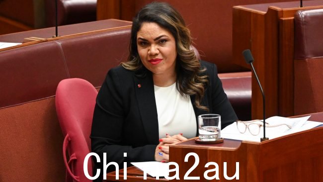 Shadow Indigenous Australians 部长 Jacinta Nampijinpa Price 表示，她对这段视频感到“完全不安”。图片：NCA NewsWire / Martin Ollman