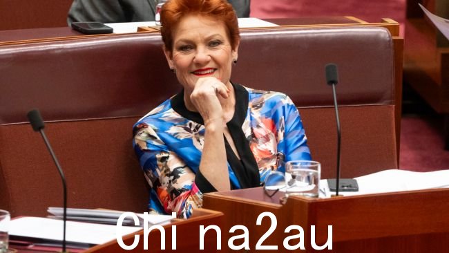 Pauline Hanson 庆祝 Peter Dutton 的预算回复演讲，称赞其政策“解决”了移民问题。图片：NCA NewsWire / Martin Ollman