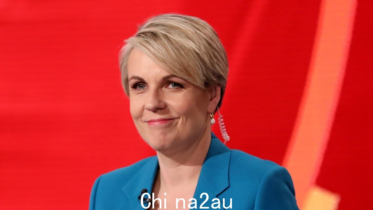 '塑料中到 2050 年，海洋的重量将超过海洋中的鱼”：Tanya Plibersek