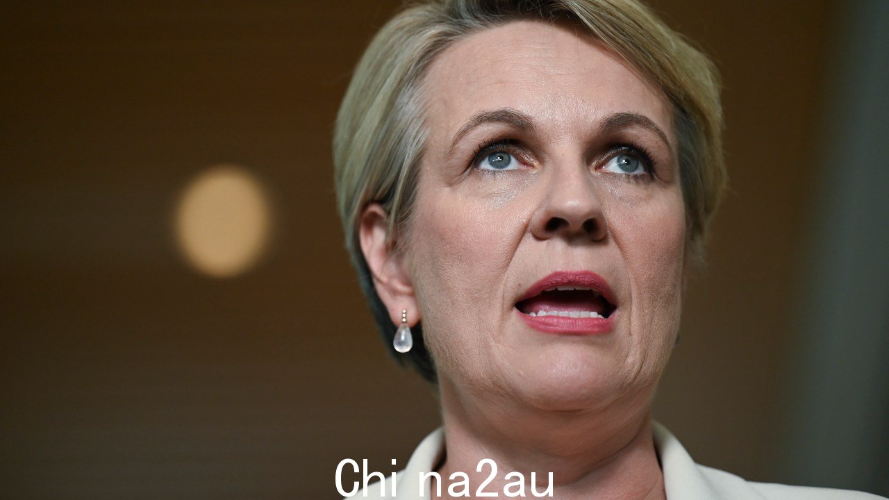 Plibersek 女士认为试验将使用技术来确保低于最低年龄的儿童不会使用社交媒体。图片：NCA NewsWire / Martin Ollman