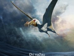 澳大利亚发现“海鬼”飞行爬行动物化石