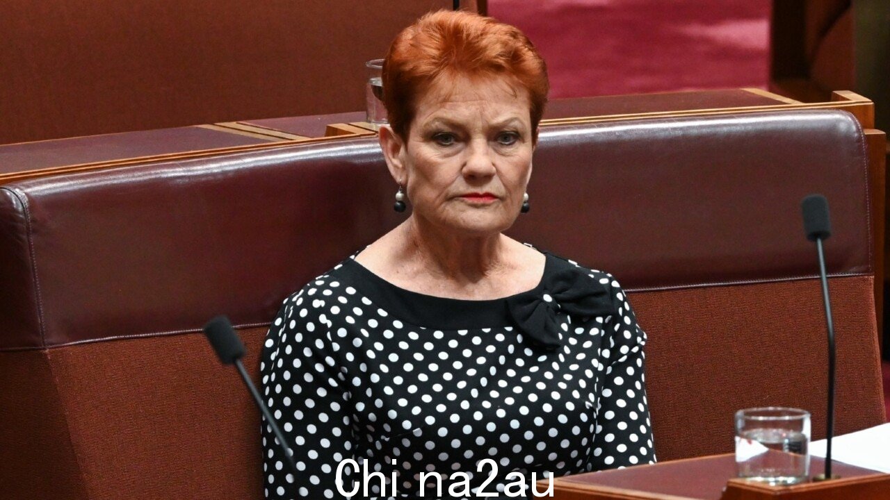 '热闹': 天空新闻主持人赞扬宝琳·汉森 (Pauline Hanson) 的《请解释一下》漫画” fetchpriority=