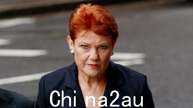 一国党领袖 Pauline Hanson 已宣布昆士兰反对党领袖大卫·克里萨富利拒绝支持核电发展，“自掘坟墓”。图片：NCA NewsWire/Nikki Short