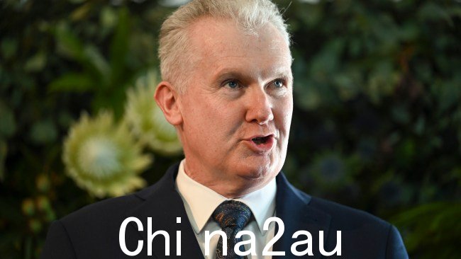 Tony Burke 表示 CFMEU 制造部门的许多成员都这样做感觉自己没有得到工会的适当代表。图片：NewsWire / Martin Ollman