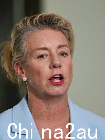 Shadow 基础设施部长 Bridget McKenzie 表示，阿尔巴尼亚政府做得还不够解决家庭暴力。图片：NCA NewsWire / Martin Ollman