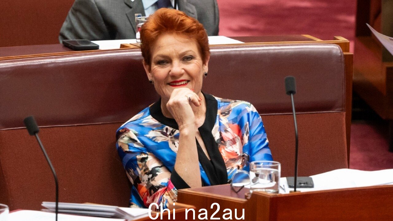 '对他们构成威胁'：宝琳·汉森 (Pauline Hanson) 的《一国论》让昆士兰工党“害怕”” fetchpriority=