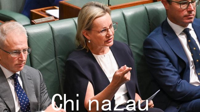 自由党副党魁苏珊·莱伊 (Sussan Ley) 告诉 SkyNews.com.au，针对选区办事处的攻击“完全不可接受”，需要采取更强有力的应对措施来“彻底消除这种行为”。图片：NCA NewsWire / Martin Ollman